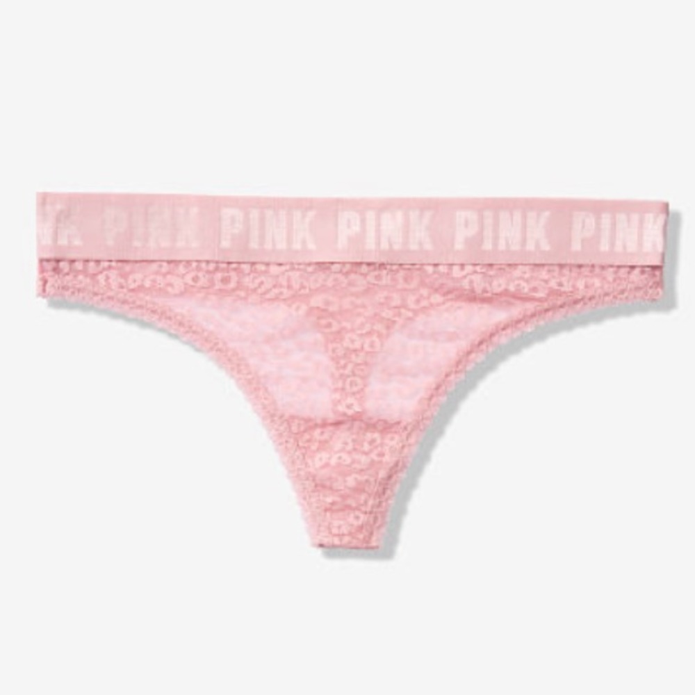 VS/Pink Brand New Underwear (5 pairs)